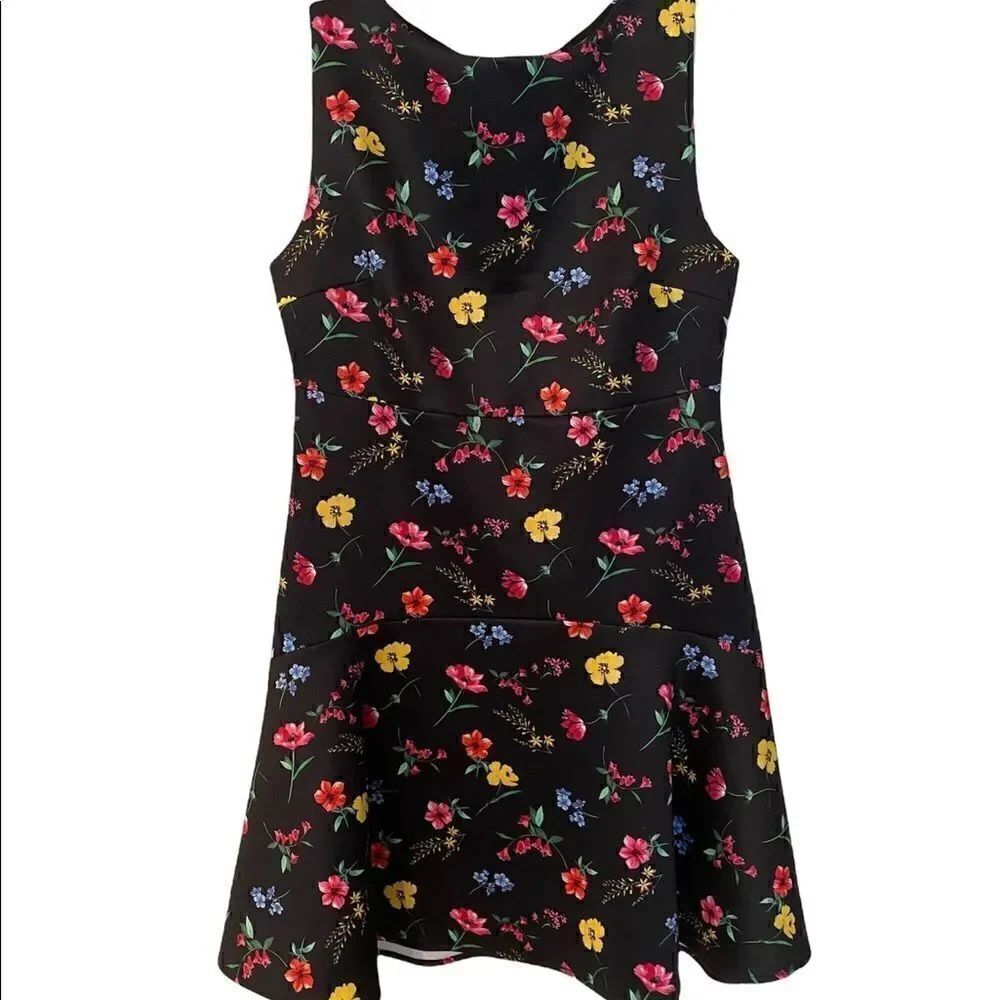 Alexia Admor Woman’s Sleeveless A Line Dress